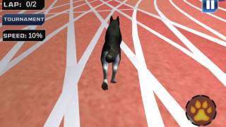 Dog Crazy Race Simulator - E02, Android GamePlay HD screenshot 1