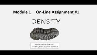 Module 1 On-Line Assignment #1 - Density Excel Spreadsheet