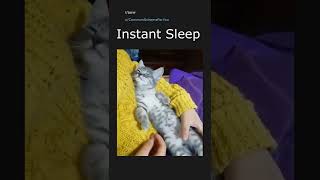 Daily Top Reddit Posts #6. 07/25/22. Top post in r/aww.