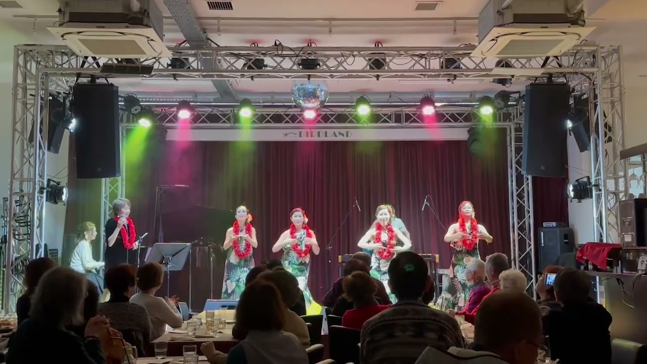 藤野ひろ子のクリスマスライブ2024年12月2日 - YouTube