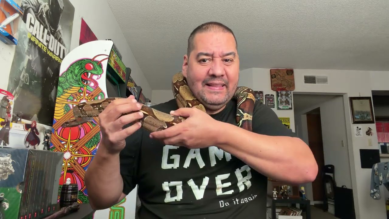 Aries my BCC just shedded, let’s hang out!￼