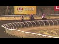 View race 3 video for 2019-01-19