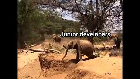 Resolving a bug: senior developers vs Junior developers