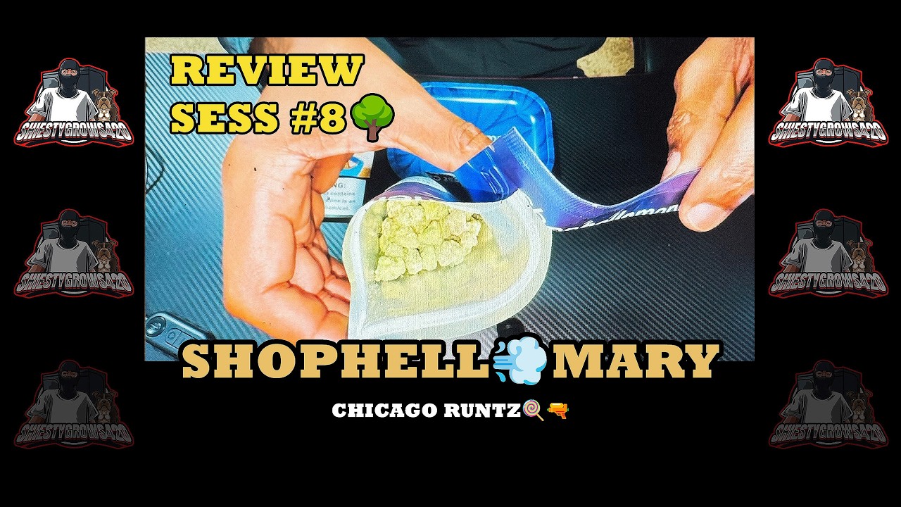 ​ @ShopHelloMaryOfficial Review Sess#6 -THCA- CHICAGO RUNTZ🍭🔫: SAVE 10% USE CODE “SHIESTYG420”