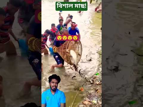 পলো দিয়ে বিশাল মাছ!! 😯😯 #fish #shorts #foryou #trending