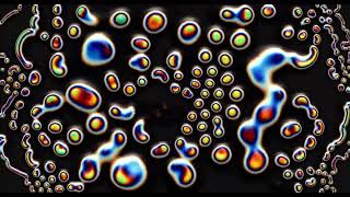 REACTION DIFFUSION 1