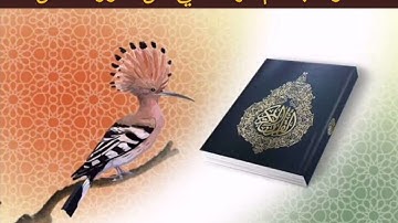 تلاوة جاسم الهنداسي من سورة النمل