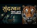 सुंदरबन का रहस्य: बाघ, भूत या विज्ञान? दुनिया के सबसे खतरनाक जंगल की सच्चाईDescription:
