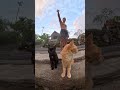 可愛い相棒たち🐈