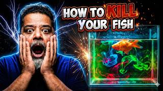 Your Fish Shop Is LYING & FOOLING You — And Your Fish Are HURT Because of It !! screenshot 4