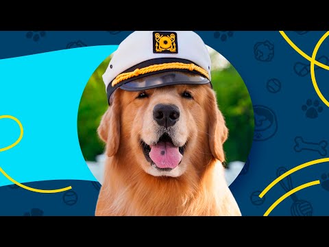 Los momentos más tiernos de Tucker y Todd 🥹
