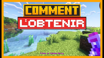 Comment utiliser la potion de miséricorde tordue dans Enigmatic Legacy MINECRAFT