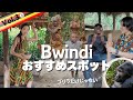 ウガンダの狩猟採集民族ピグミーの暮らし、ローカルコーヒーやバナナを学ぶ旅!VLOG3