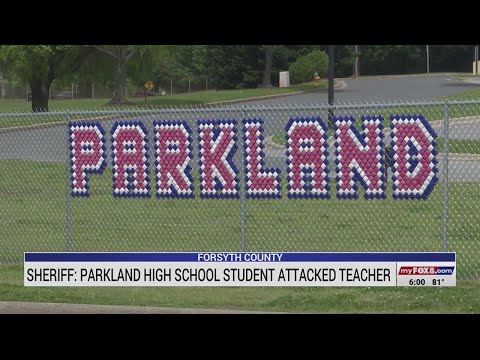 Student caught on video attacking teacher at Parkland High School, sheriff says