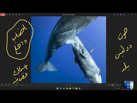 38 تابع طرق التكاثر فى الكائنات الحية بالعامية وصور تحفة نظام جديد 2026