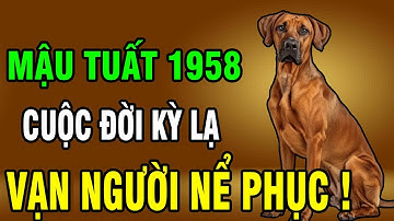 9 Sự Thật bất ngờ về Mậu Tuất 1958: Kiếp người vất vả – bí ẩn cuối đời khiến nhiều người ngỡ ngàng!
