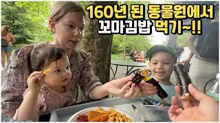 [헝가리부부]🇭🇺🇰🇷 160년 된 동물원에 꼬마김밥 싸들고 방문했습니다!! / #팬더없음 🐼🎋