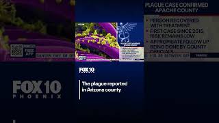 The plague: Arizona county confirms 1st case since 2015 | FOX 10 Phoenix