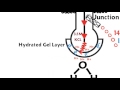 How a pH meter works!