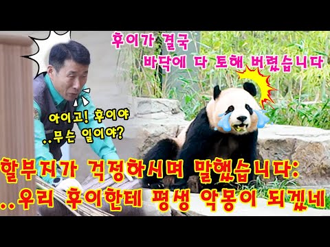 Oh My Gosh Hui Bao Ended Up Throwing Up On The Floor Kang Halbuji Said With Concern I Think 