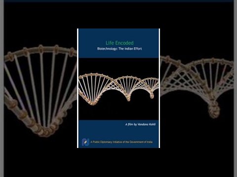 developmental La Vida Codificada