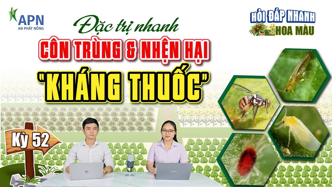 APN - QUẢN LÝ CÔN TRÙNG & NHỆN HẠI KHÁNG THUỐC TRONG MÙA KHÔ