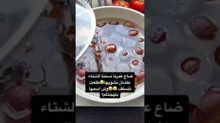 طريقة طبخ ابو فروة (مسلوقة)