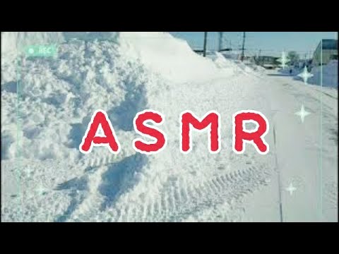 #318【ASMR】雪道を歩く