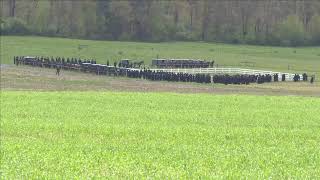 WATCH LIVE | Funeral procession for PA mother & 6 kids killed in fire