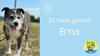 Erna- Zu Hause Gesucht