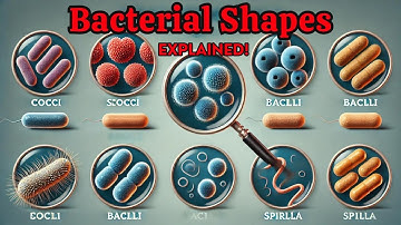 Unveiling Bacterial Shapes: How Tiny Forms Shape Our World!