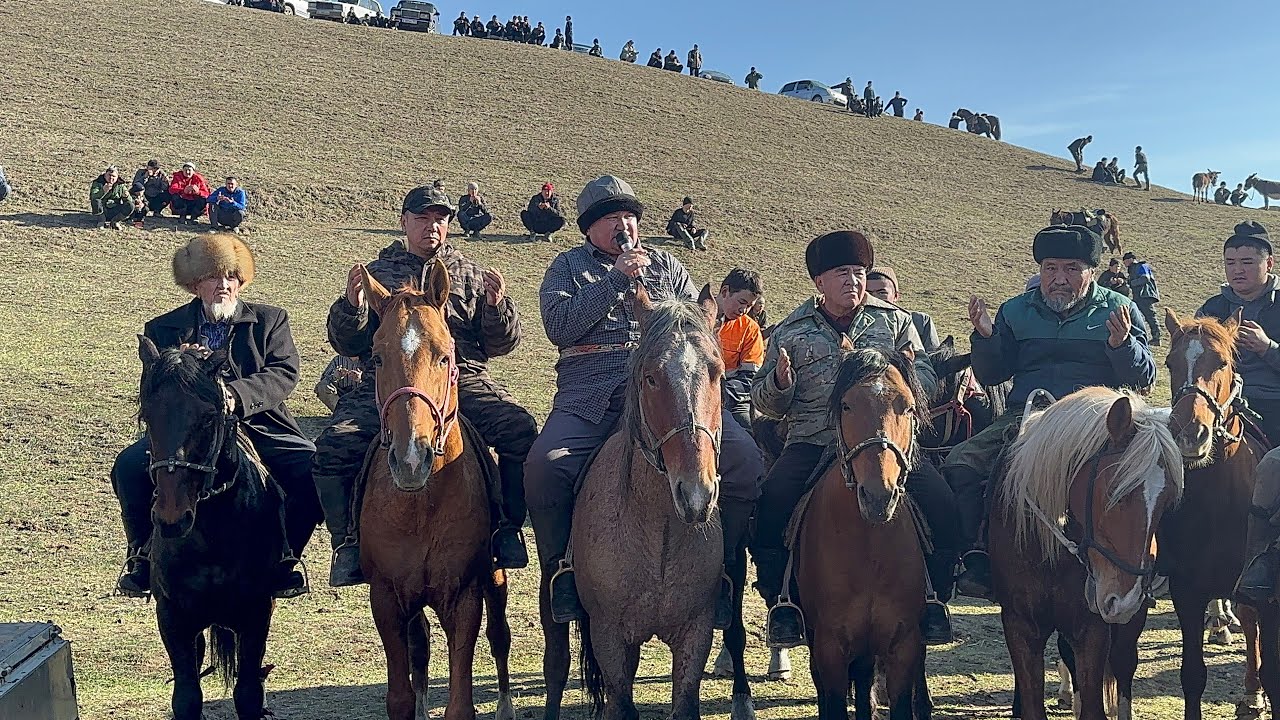 Тукуш балбан уулуна элден бата алуу максатында чоон Аламан улак берди