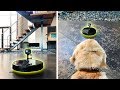 What happens to the Robot Vacuum when we leave? (Dog GoPro Spycam Footage)