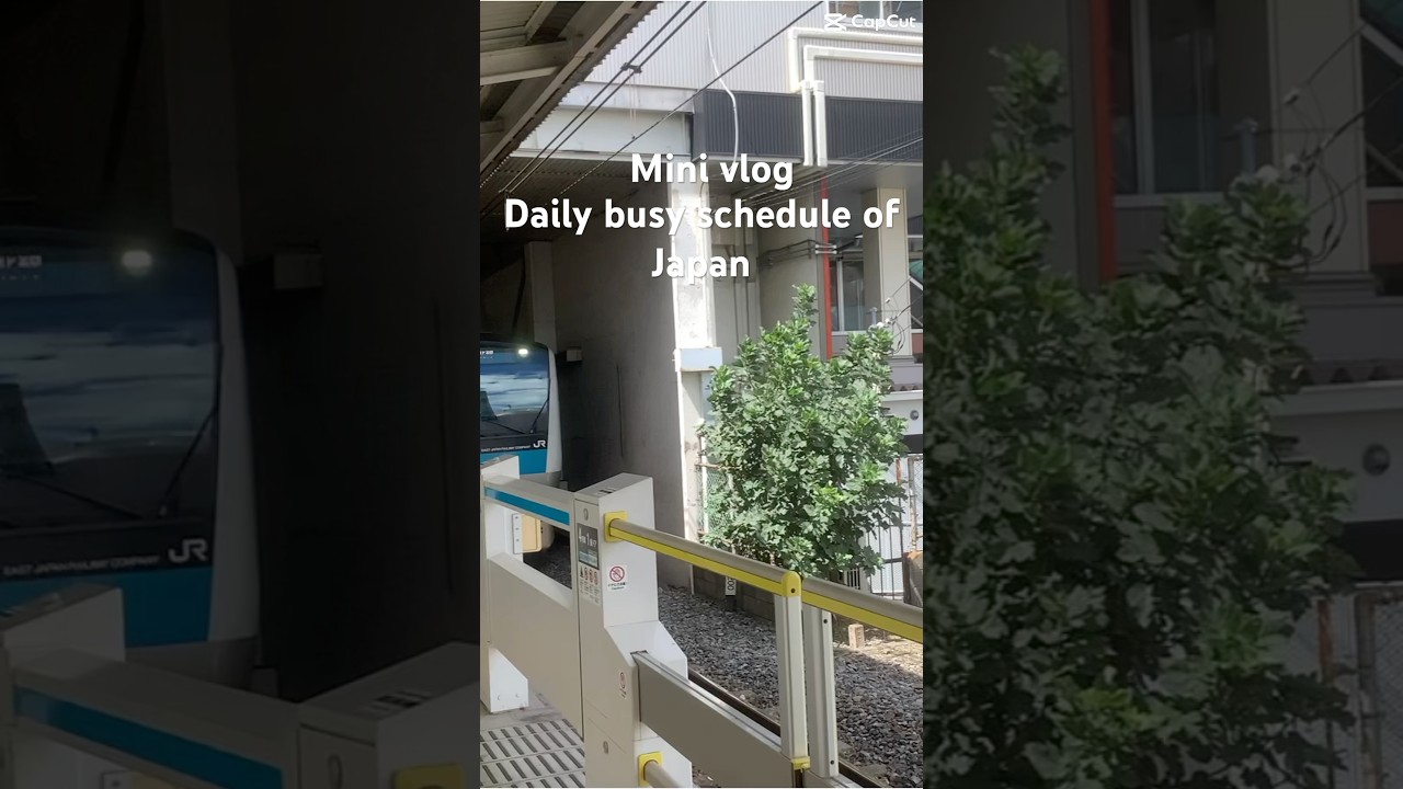 Travel Tokyo busy schedule 