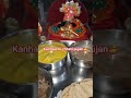 kanha ji ki chhati #laddugopal #kanhaji #radheradhe #shorts #trendingshorts