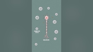 Treating autoimmune disease using your own cells