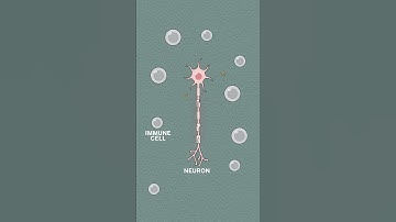 Treating autoimmune disease using your own cells