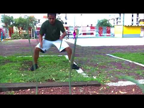 Ejercicio para aumentar la fuerza y masa muscular de los brazos / Cambios en menos de una semana