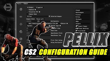 The Pellix Cs2 Guide To Configuration | VAC 3.0 Undetected
