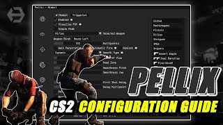 The Pellix Cs2 Guide To Configuration | VAC 3.0 Undetected