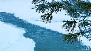 Земля Манси. Интервью с Николаем Пакиным