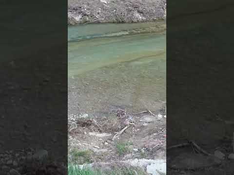 Video: Փսեկուպս գետ՝ ակունք, բերան, բնակավայրեր, վտակներ