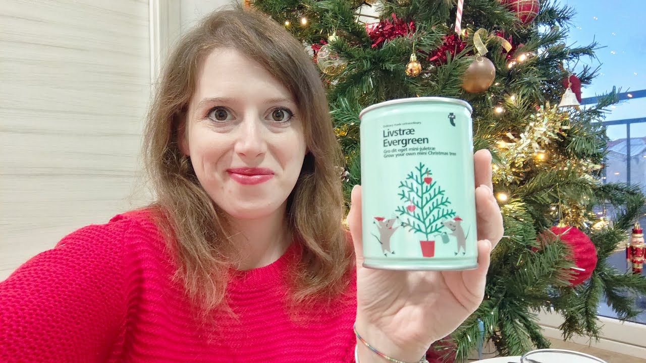 PIANTO UN ALBERO DI NATALE!