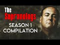 The sopranologs season 1 compilation