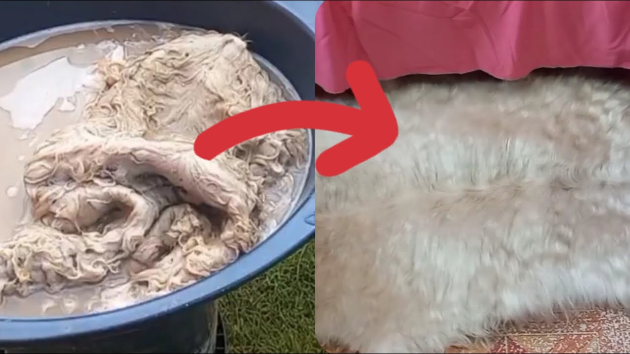 How to Clean Goat Stomach Properly | Traditional Method | Homestead Fix and Flourish