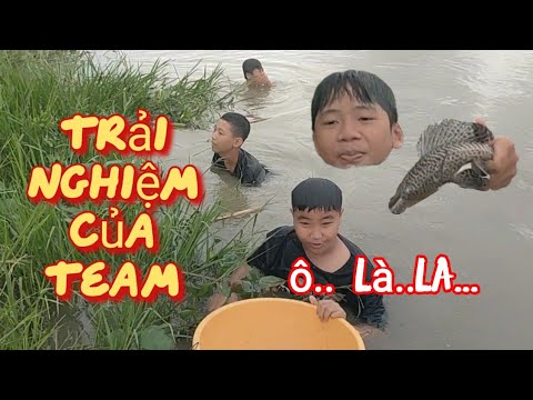 Video Team út Tuấn trải nghiệm bắt cá lau kiếng/Út Tuấn vlog - youtube