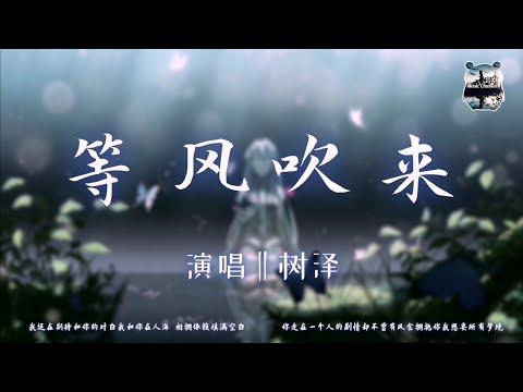 等风吹来 ‖ 树泽     『我还在期待和你的对白     我和你在人海 相拥依赖填满空白』【动态歌词版Lyrics】