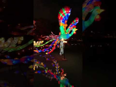 Video: Lentera Cina di Montreal Botanical Gardens of Light