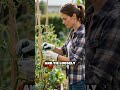 Stop Wind From Snapping Your Veggie Stems!