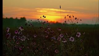 Watch Ingrid Michaelson Morning Lullabies video